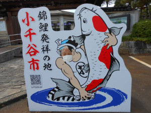 DSCN7496
