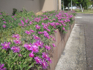 IMG_6357_R