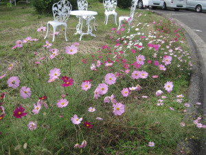 IMG_6365_R