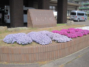 IMG_6563_R