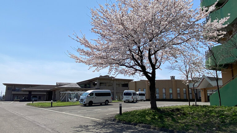 介護施設の外観。桜の樹と駐車場、複数の建物が見える春景色