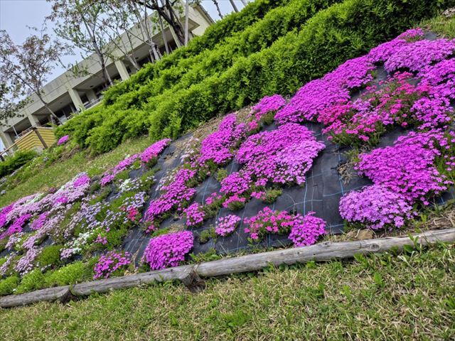 →